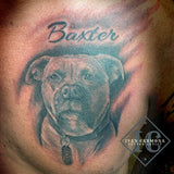 Pet Dog Portraiture Tattoo On The Chest  With Calligraphy Name In Black And Gray Tatuaje De Retrato De Perro Mascota En El Pecho Con Nombre De Caligrafía En Negro Y Gris<br>