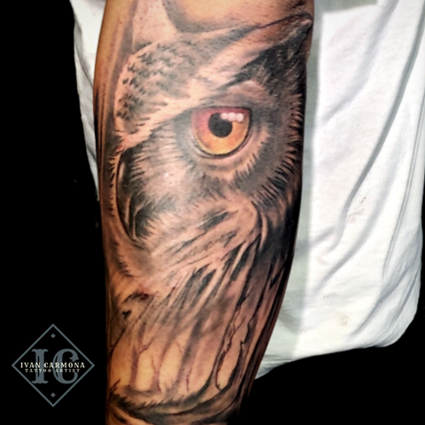 Owl Forearm Tattoo In Black And Gray <p>Buho En Ante Brazo Tatuaje En Negro Y Gris</p>