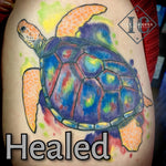 Turtle Cover Up Tattoo Watercolor Style On The Arm